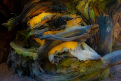 COC_6275-2