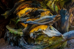 COC_6275